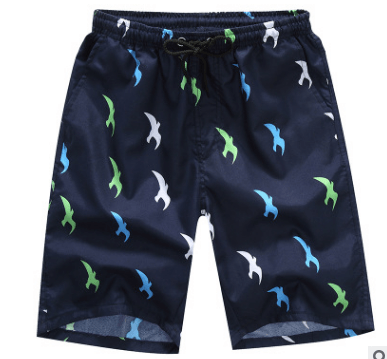 Quick Dry Printing Beach Shorts - Elite Essence Store