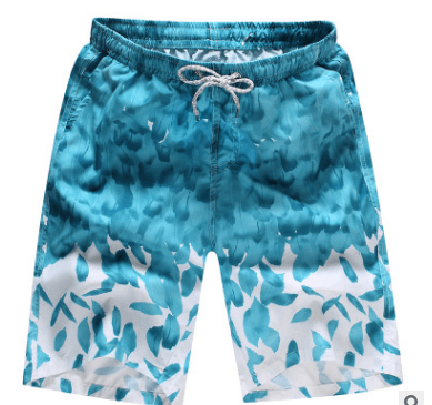 Quick Dry Printing Beach Shorts - Elite Essence Store