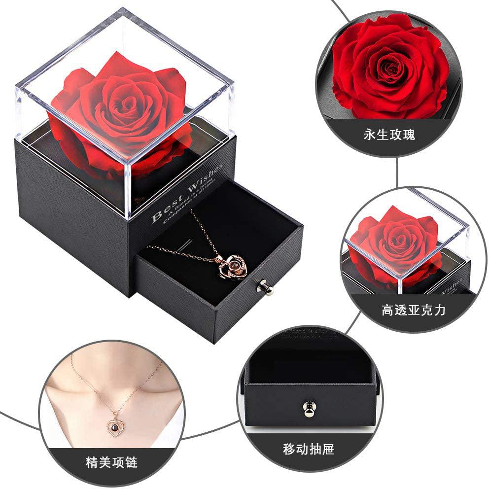 Preserved Flower Rose Jewelry Box Acrylic Gift Box - Elite Essence Store